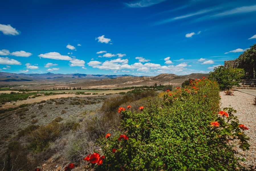 5 Bedroom Property for Sale in De Rust Western Cape